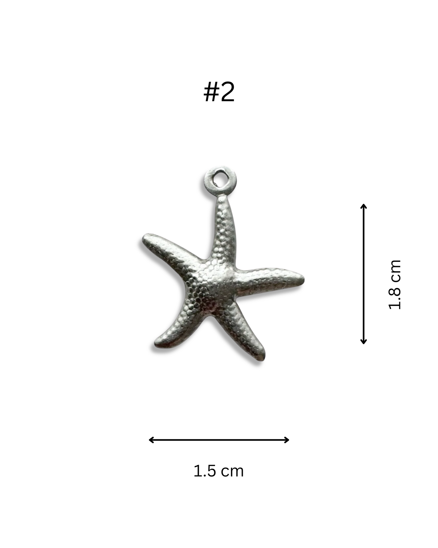 Pendentifs Étoiles De Mer (Argent)