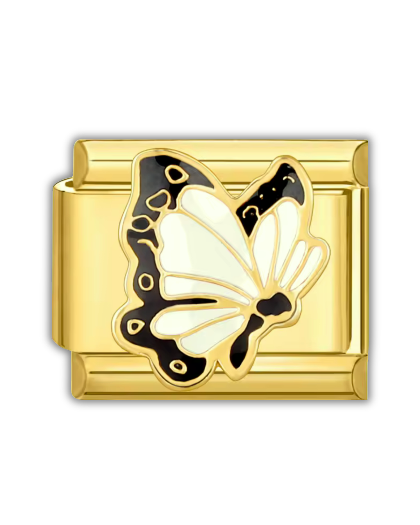 Papillon