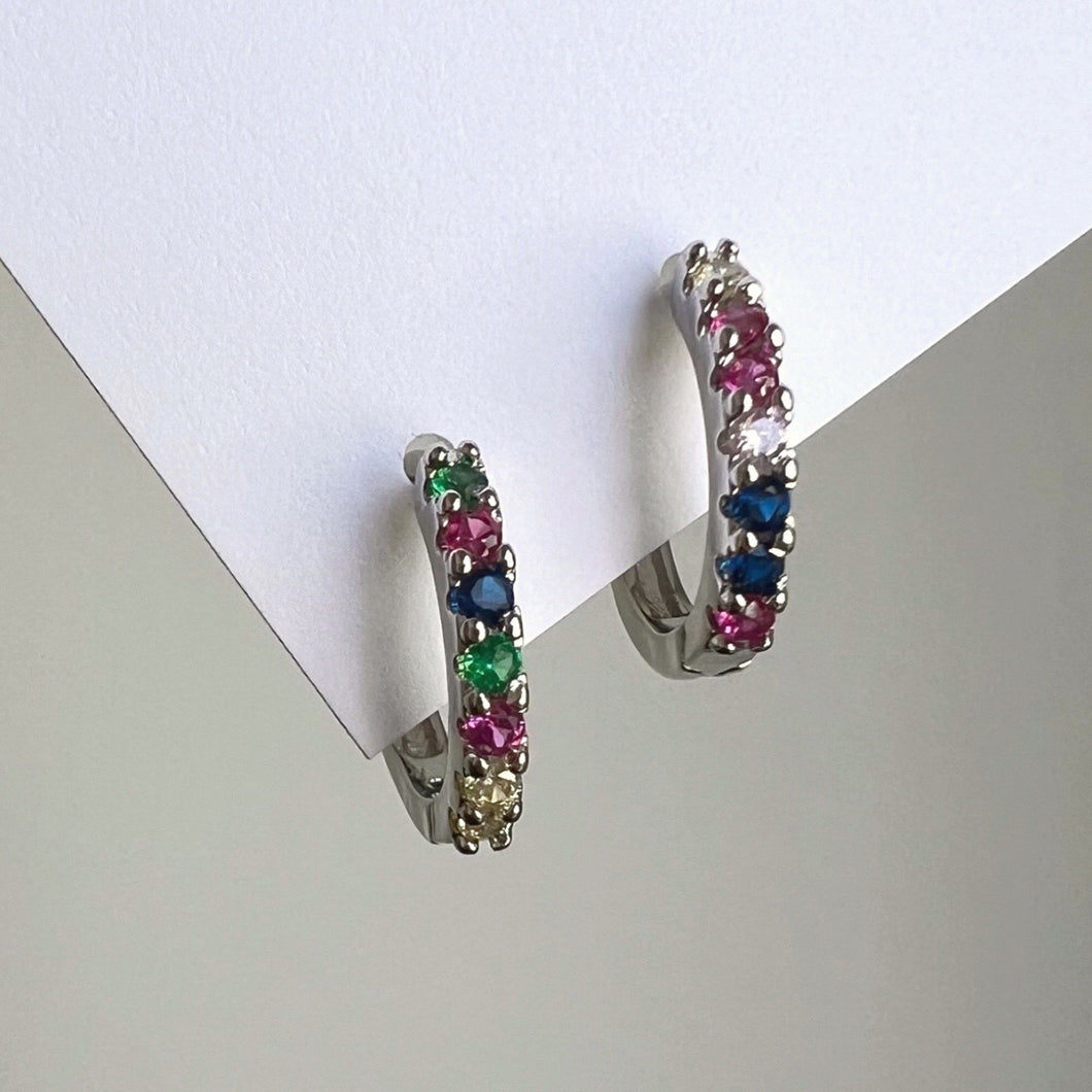 Rainbow Luxe Earrings - Silver