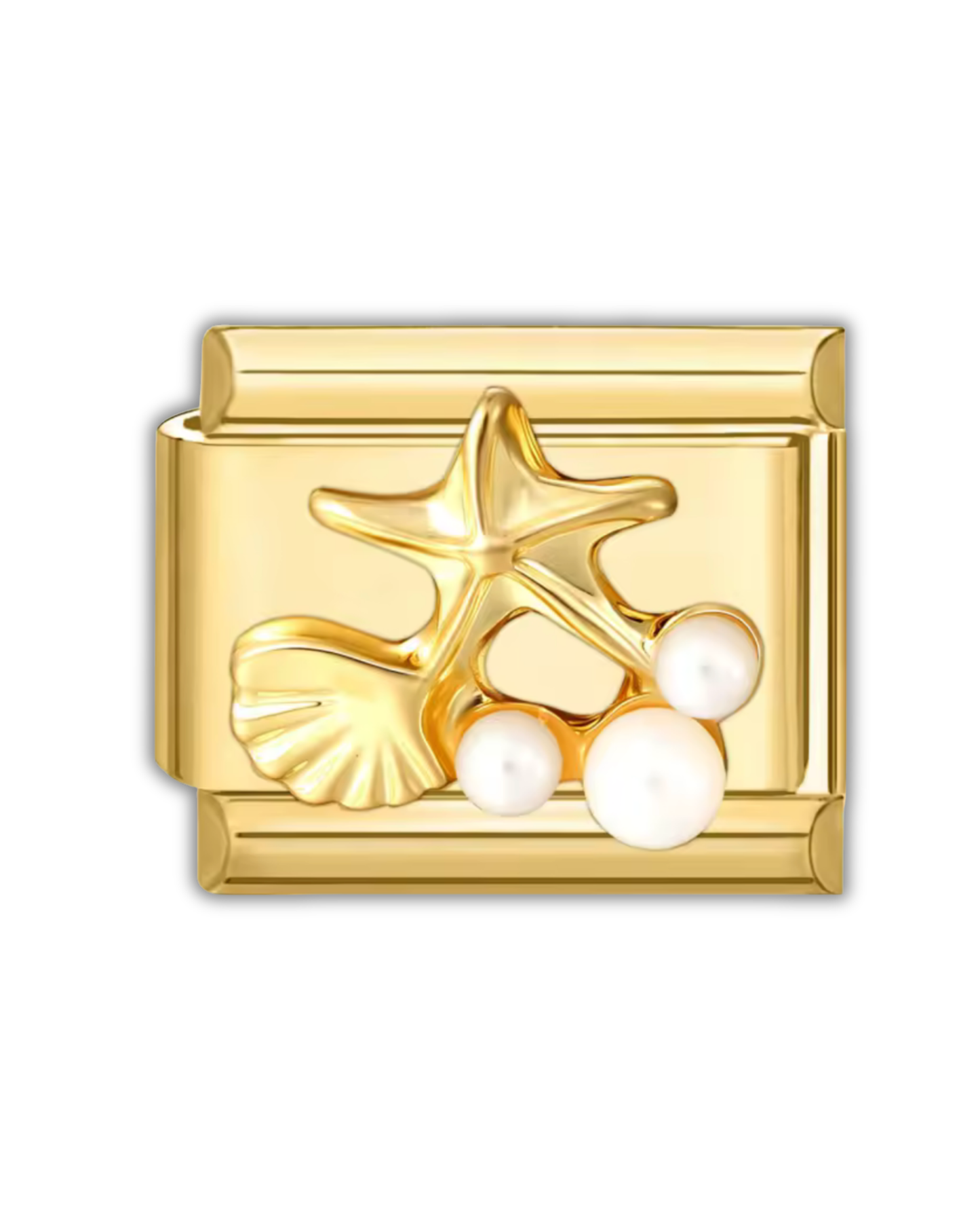 Étoile de Mer & Coquillage