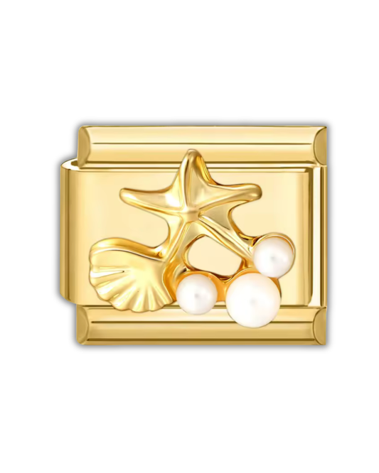 Étoile de Mer & Coquillage