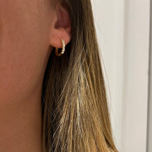 Load image into Gallery viewer, Clear Luxe Earrings