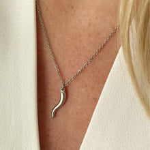 Load image into Gallery viewer, Spice It Up Necklace - Silver